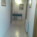 Residencia Taray Guest house *